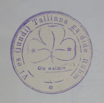 VI Scouts Guides detachment
