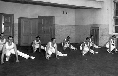 Mens gymnastics team 1930-1932
Left to right. First row: ?, Rosenberg, Benno Heiman,  Meiertal
Second row: ?, Kitt, Gleser, Aronovitsch
