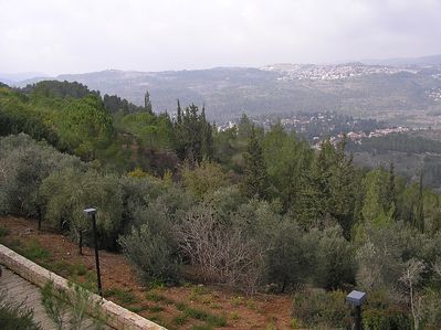 Yad Vashem - the alley of Righteous among the nations
