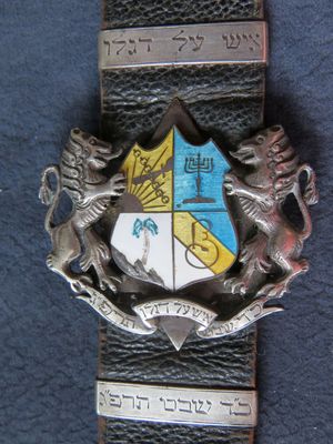 Hasmonea pendant. Tartu. 1935. Front. 
Hasmonea pendant presented by the family of Zvi Kamenovsky to Aleksander Gini (Ginizisky) on the occasion of his departure to Palestine. 3.12.1935. Tartu. 
