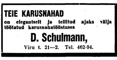 Schulmann David
