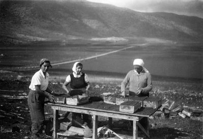 Working in the greenhouse in kibbutz Shaar Ha'Amakim. 1936.
Left to right: Ljuba Shadmi (Piel), Matilda Berman and friend.
