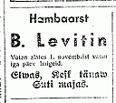 levitin.png