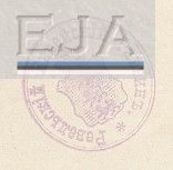 Tallinn Rabbi (Ревельский еврейский раввин)
from the 1919 birth certificate
Keywords: [religion]